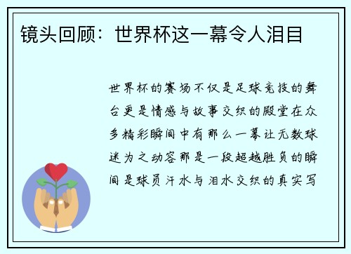 镜头回顾：世界杯这一幕令人泪目